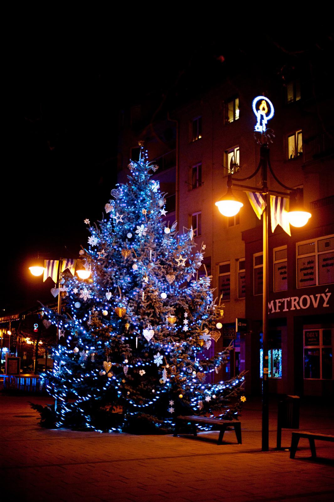 Fotogaléria Vianočná výzdoba (19.12.2016) (8) Vianočná výzdoba (19.12.2016)
